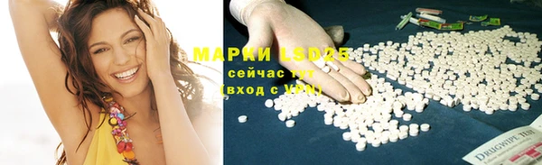 ГАЛЛЮЦИНОГЕННЫЕ ГРИБЫ Гусев