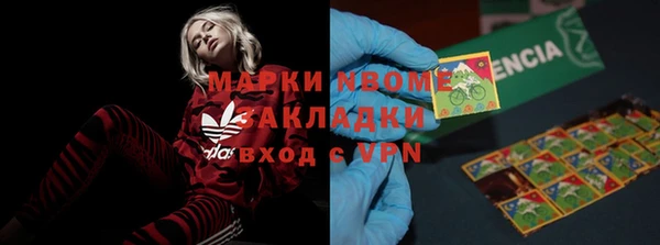 ГАЛЛЮЦИНОГЕННЫЕ ГРИБЫ Гусев