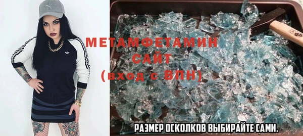 ГАЛЛЮЦИНОГЕННЫЕ ГРИБЫ Гусев