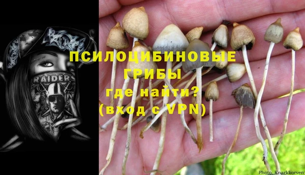 ГАЛЛЮЦИНОГЕННЫЕ ГРИБЫ Гусев
