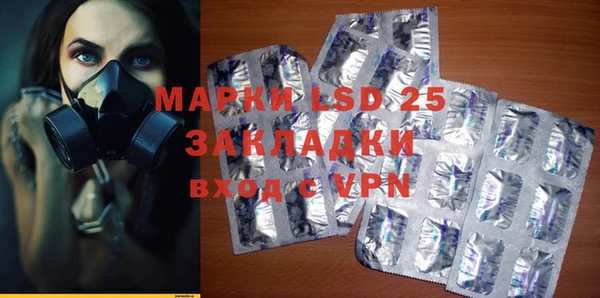 ГАЛЛЮЦИНОГЕННЫЕ ГРИБЫ Гусев