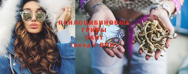 дурь Гусиноозёрск
