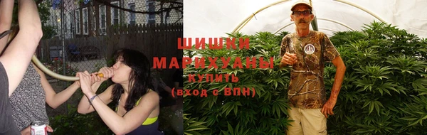 ГАЛЛЮЦИНОГЕННЫЕ ГРИБЫ Гусев