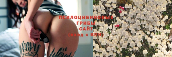 соль ск Гусь-Хрустальный
