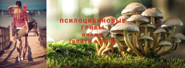 ГАЛЛЮЦИНОГЕННЫЕ ГРИБЫ Гусев