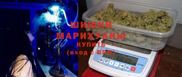 дурь Гусиноозёрск