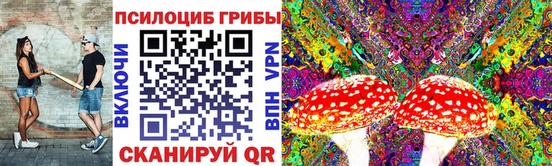 Галлюциногенные грибы Magic Shrooms  даркнет какой сайт  Питкяранта 