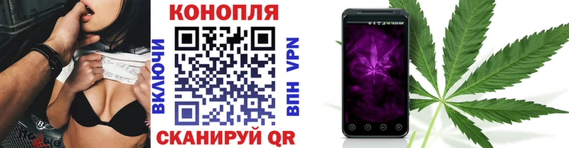 Канабис планчик  Питкяранта 